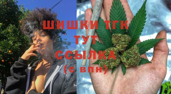 молекула духа Арсеньев