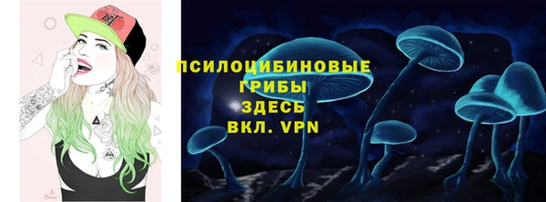 индика Армянск