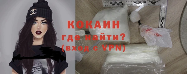 молекула духа Арсеньев
