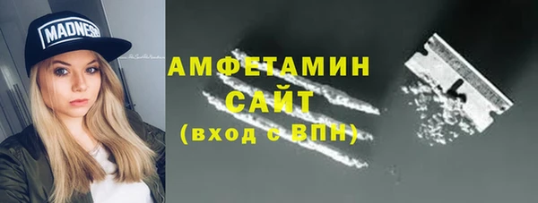 молекула духа Арсеньев
