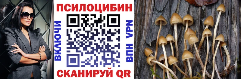 Псилоцибиновые грибы GOLDEN TEACHER Певек